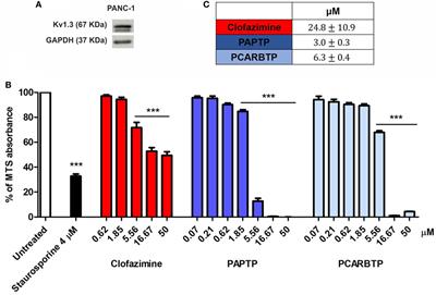 Regulation of Proliferation by a Mitochondrial Potassium Channel in Pancreatic Ductal Adenocarcinoma Cells